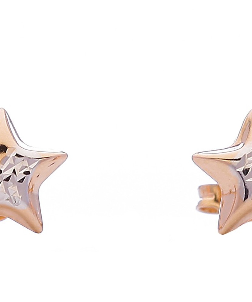 Kuldkõrvarõngad "Tähekesed" - Kuldkõrvarõngad - Goldinga