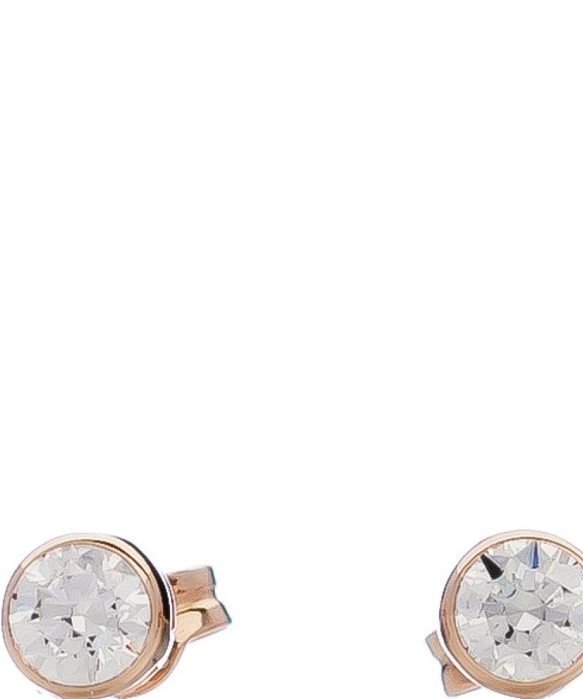 Kuldkõrvarõngad kristalliga - Kuldkõrvarõngad - Goldinga