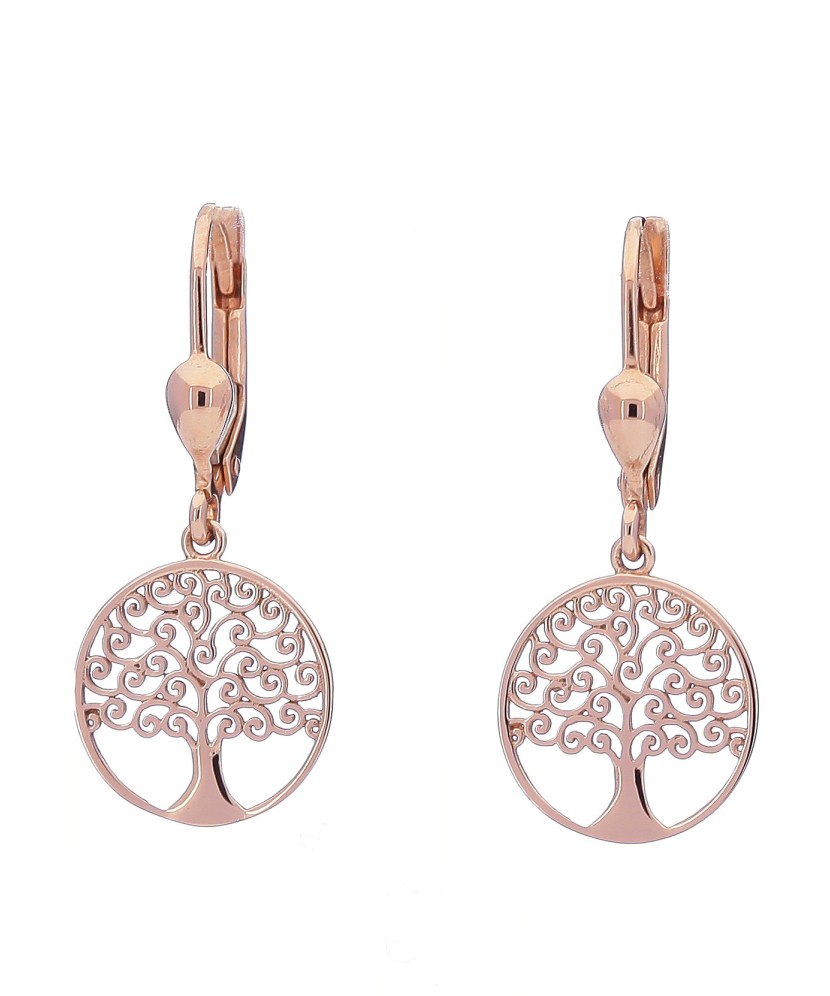 Kuldkõrvarõngad - Kuldkõrvarõngad - Goldinga