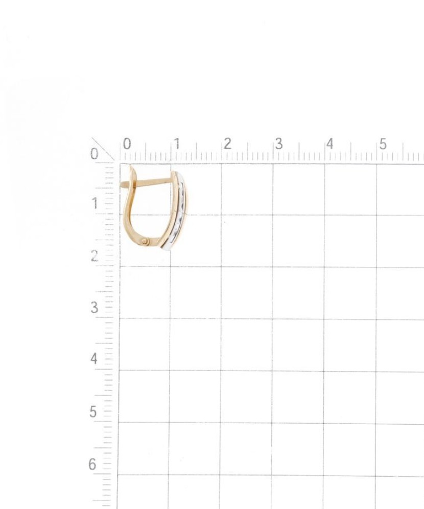 Auksiniai auskarai su cirkoniais - Auksiniai auskarai - Goldinga