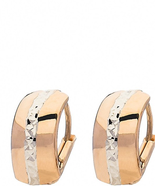 Auksiniai auskarai Goldinga XDCNSE207843/9-WR