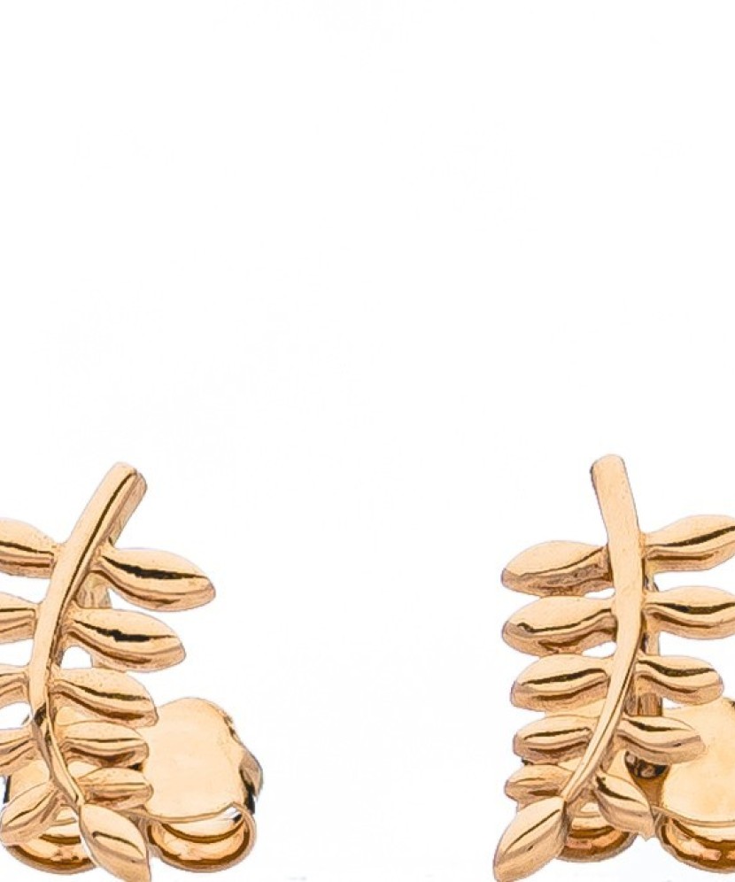 Kuldkõrvarõngad - Kuldkõrvarõngad - Goldinga