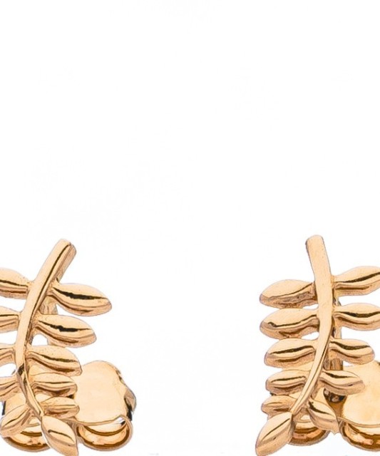 Kuldkõrvarõngad - Kuldkõrvarõngad - Goldinga