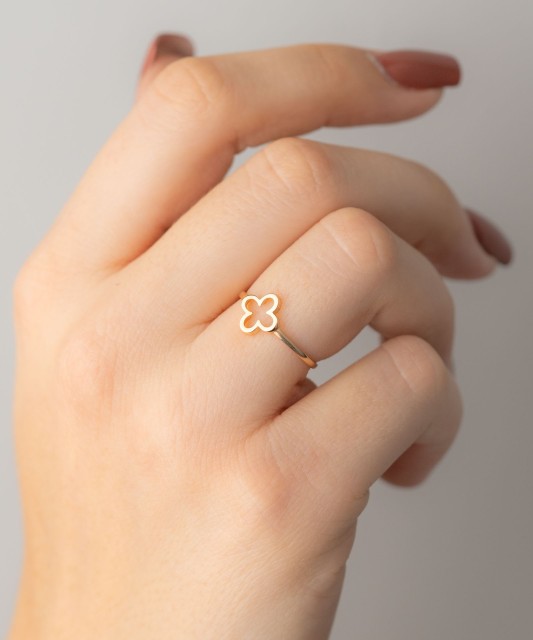 Золотое кольцо