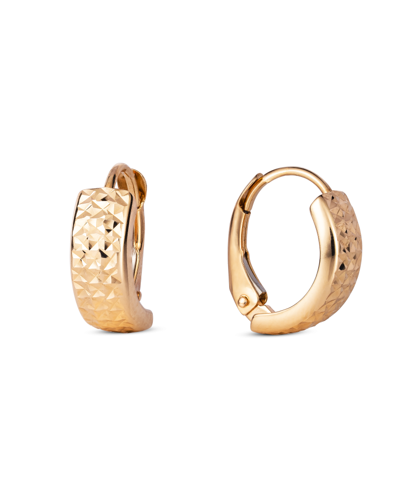 Kuldkõrvarõngad Goldinga XDCNSE8476-R