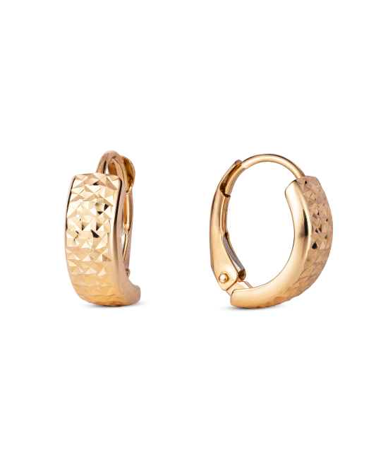 Kuldkõrvarõngad Goldinga XDCNSE8476-R