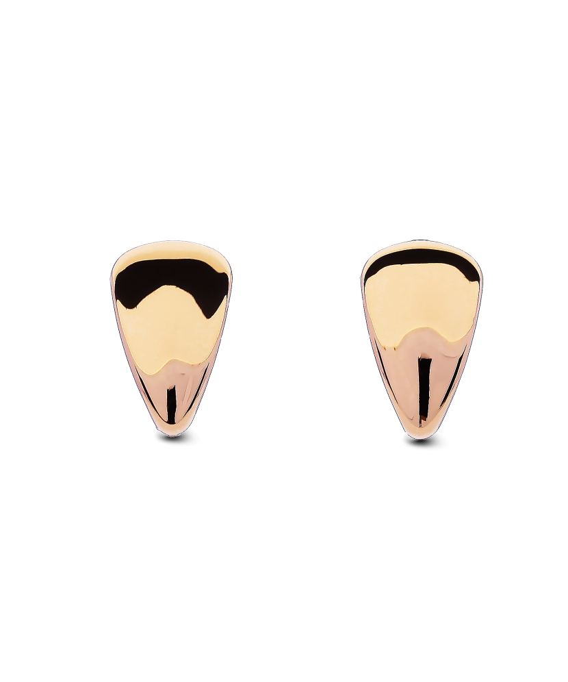 Kuldkõrvarõngad Goldinga 00189