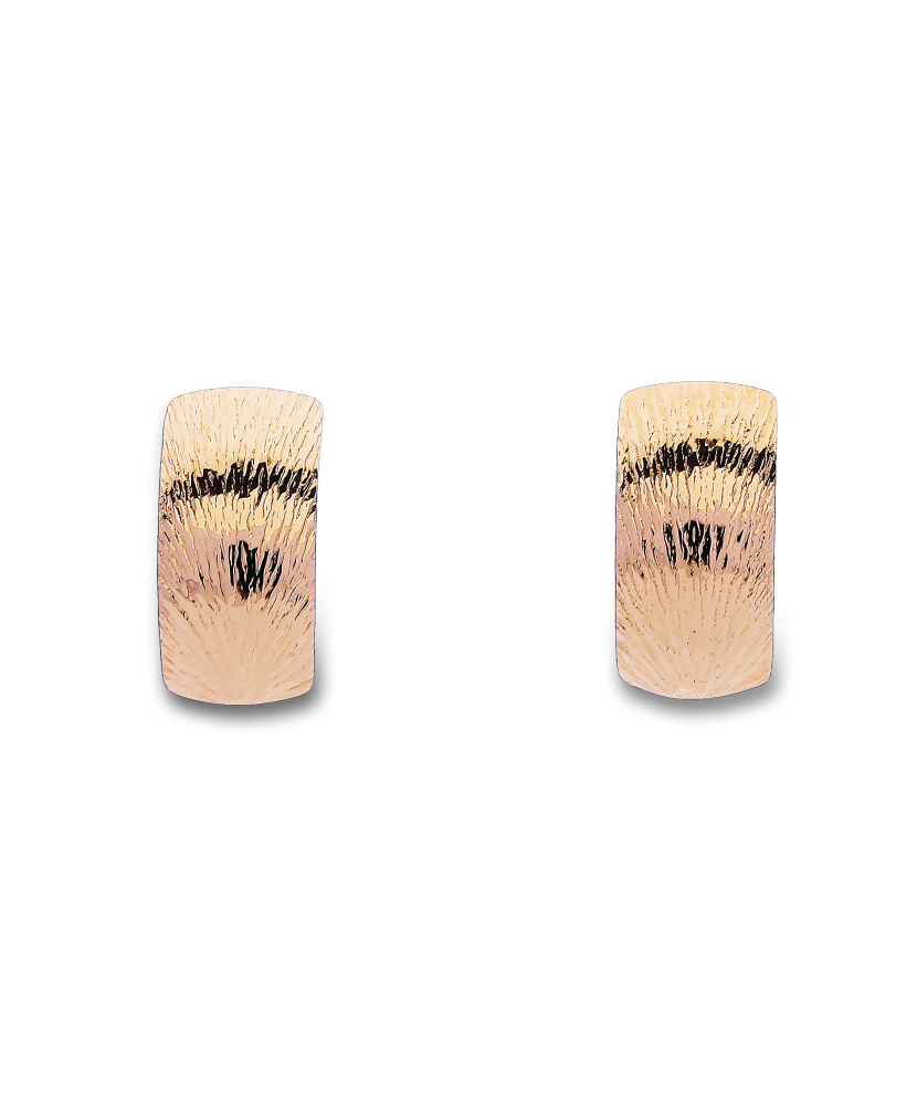 Kuldkõrvarõngad Goldinga 00190