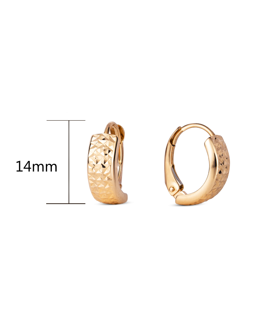 Kuldkõrvarõngad Goldinga XDCNSE8476-R