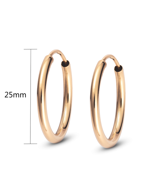 Kuldkõrvarõngad, rõngad 20mm Goldinga XLTE0017-R-SL