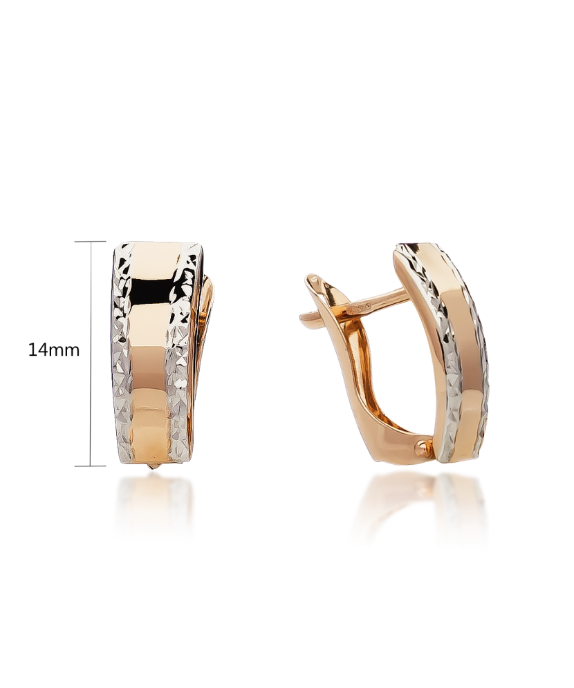 Kuldkõrvarõngad Goldinga XXDCNSE205196/8-WR