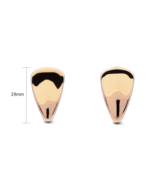 Kuldkõrvarõngad Goldinga 00189