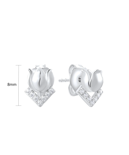 Hõbekõrvarõngad tsirkoonidega