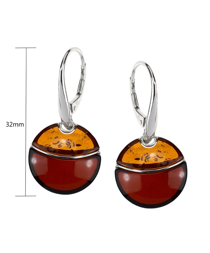 Hõbekõrvarõngad merevaiguga