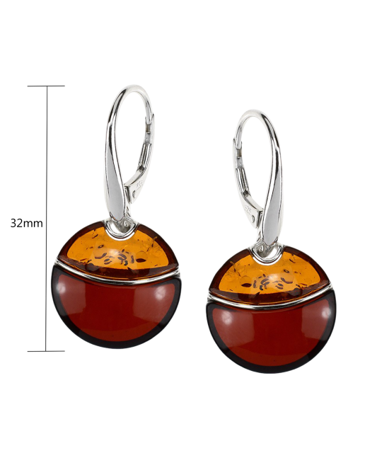 Hõbekõrvarõngad merevaiguga