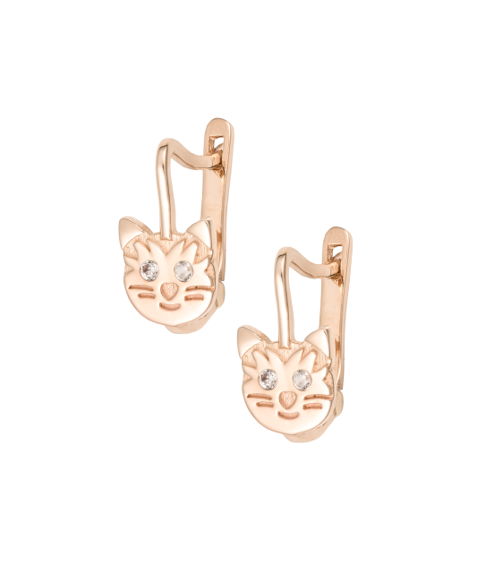 Kuldkõrvarõngad tsirkoonidega