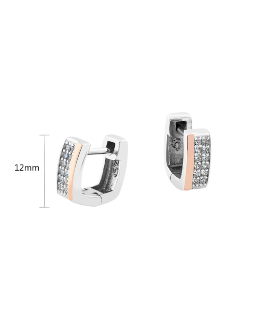 Hõbekõrvarõngad kullatud tsirkoonidega