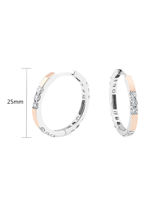 Hõbekõrvarõngad kullatud tsirkoonidega