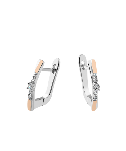 Hõbekõrvarõngad kullatud tsirkoonidega