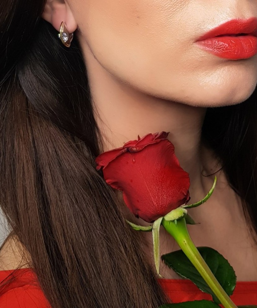 Hõbekõrvarõngad kullatud tsirkoonidega