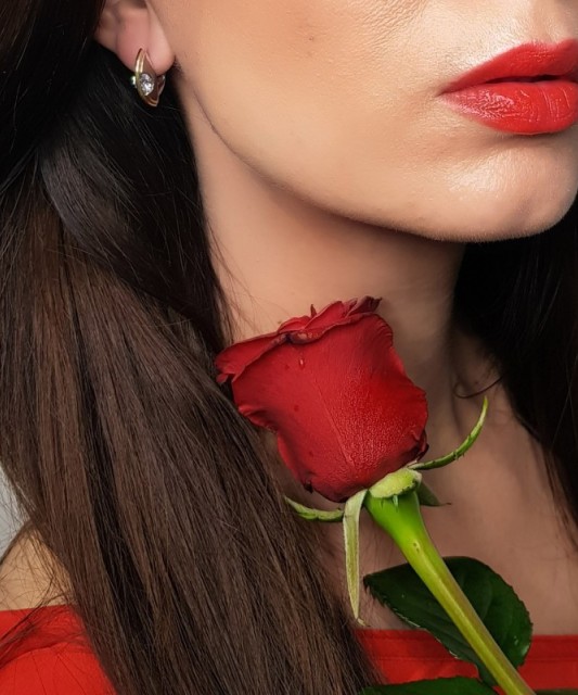 Hõbekõrvarõngad kullatud tsirkoonidega