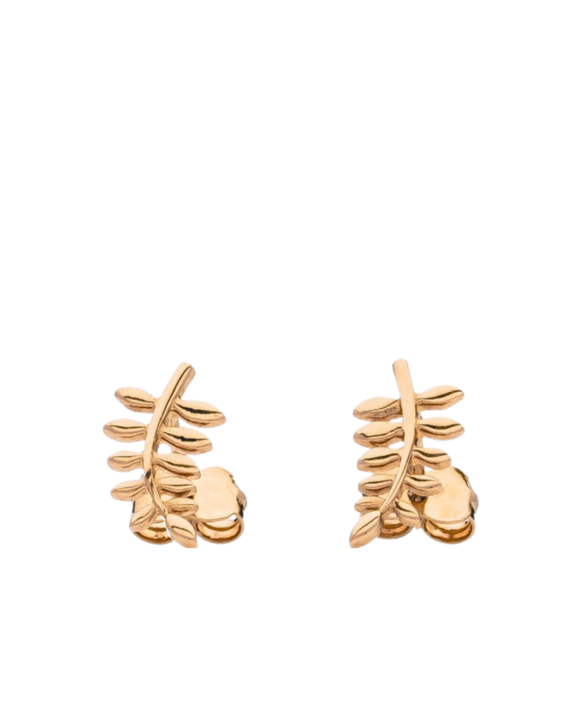 Kuldkõrvarõngad - Goldinga