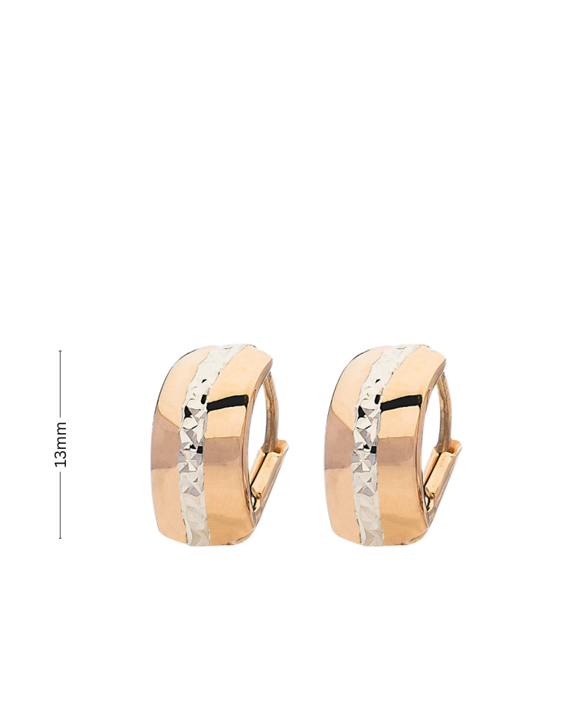 Auksiniai auskarai Goldinga XDCNSE207843/9-WR