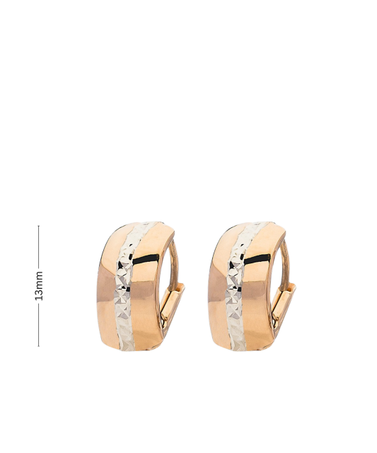 Auksiniai auskarai Goldinga XDCNSE207843/9-WR