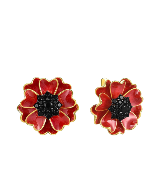 Kullatud Hõbedast kõrvarõngad tsirkoonide ja emailiga