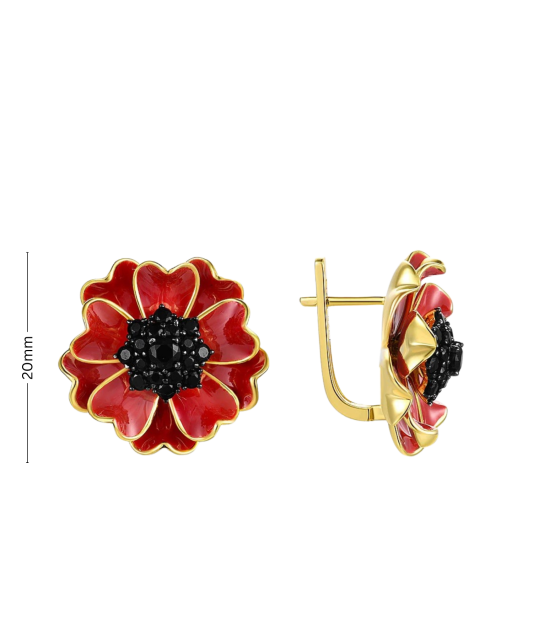 Kullatud Hõbedast kõrvarõngad tsirkoonide ja emailiga