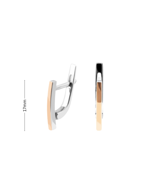 Hõbekõrvarõngad kullatud