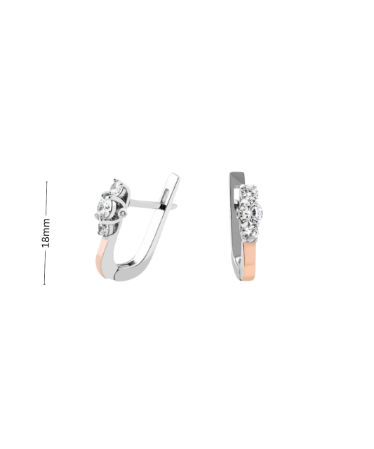 Hõbekõrvarõngad kullatud tsirkoonidega