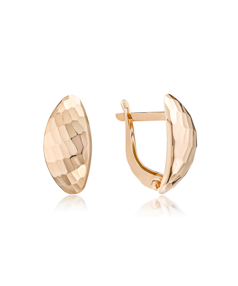 Kuldkõrvarõngad dublis