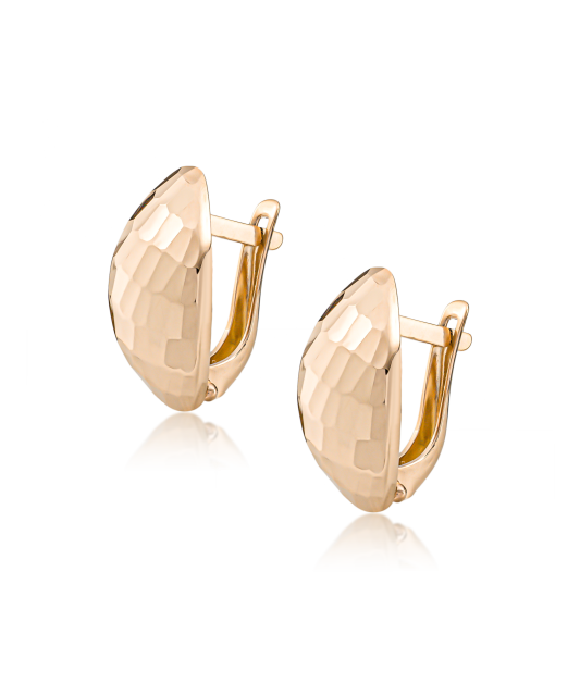 Kuldkõrvarõngad dublis