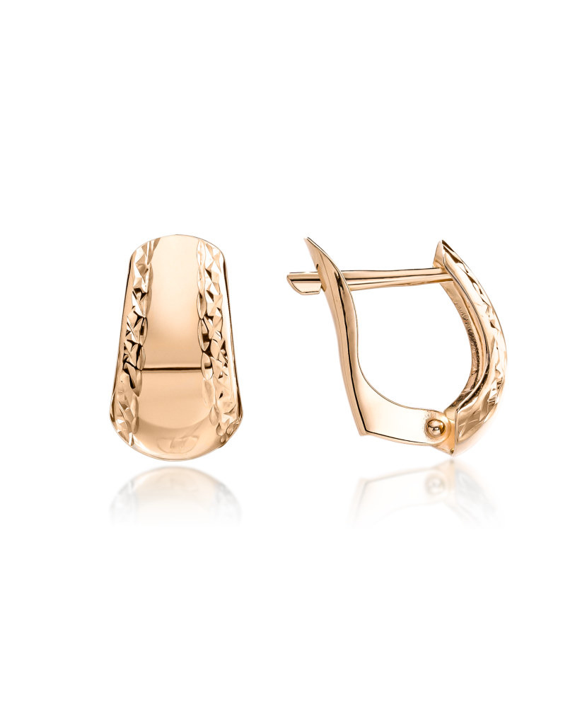 Kuldkõrvarõngad dublis