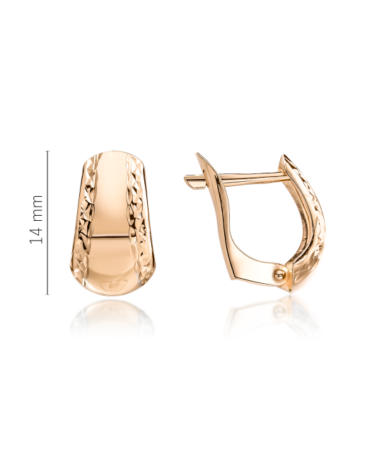 Kuldkõrvarõngad dublis