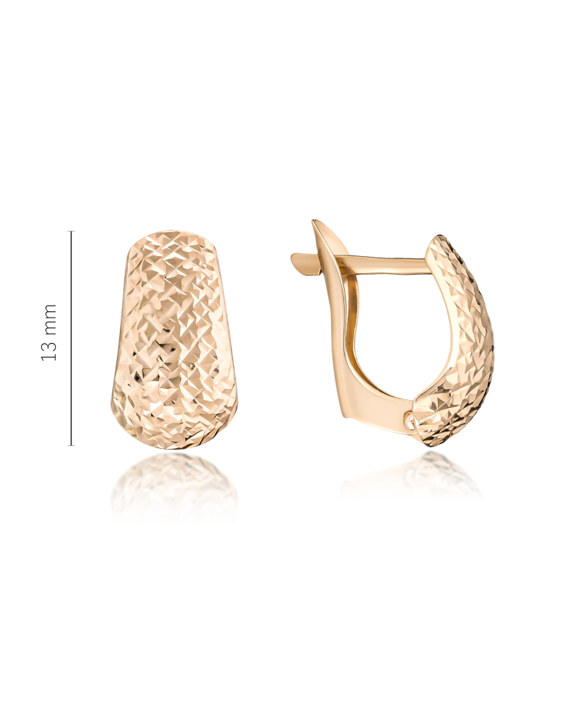 Kuldkõrvarõngad dublis