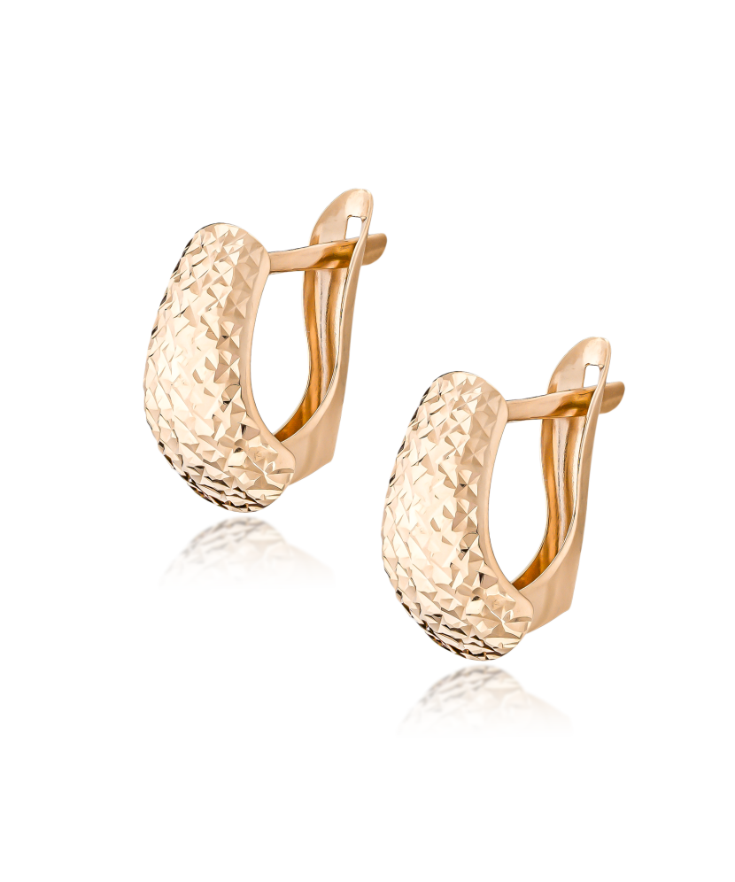 Kuldkõrvarõngad dublis