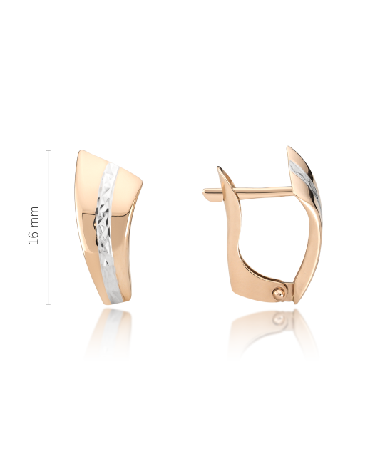 Kuldkõrvarõngad dublis