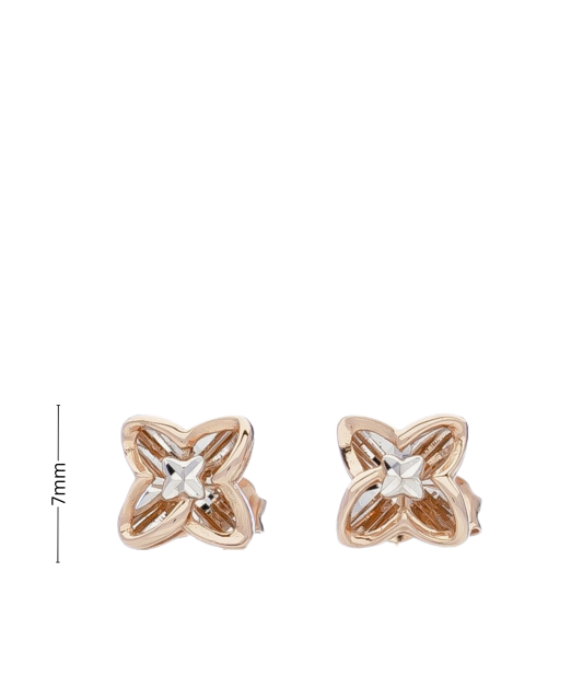 Auksiniai auskarai Goldinga X3E213306-YW-II-DC