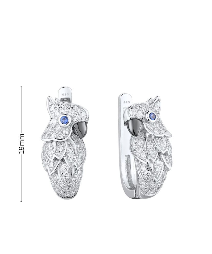 Hõbedast kõrvarõngad tsirkoonide ja spinellidega