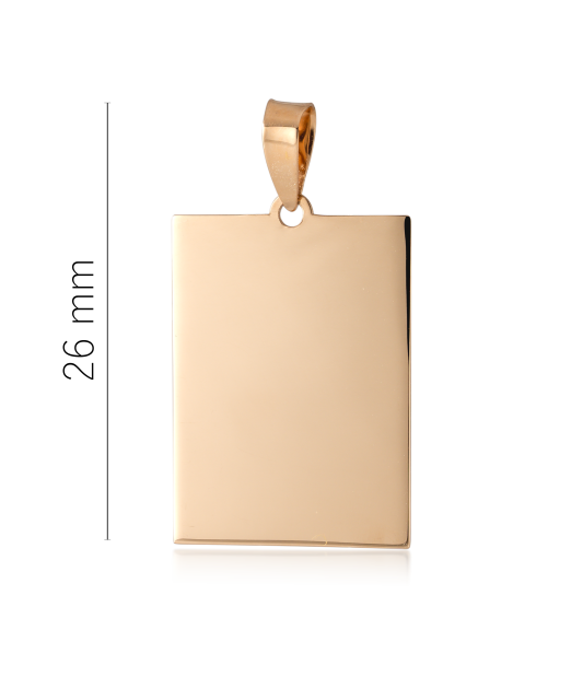 Kuldripats  "Plaadike"