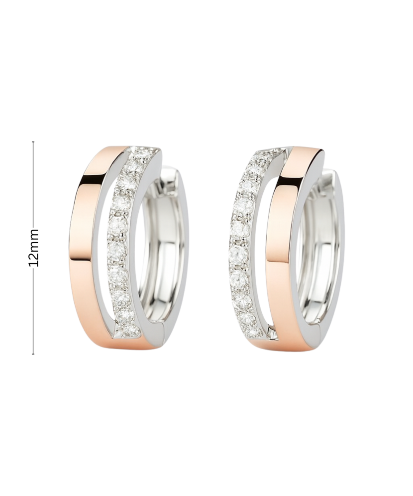 Hõbekõrvarõngad kullatud tsirkoonidega