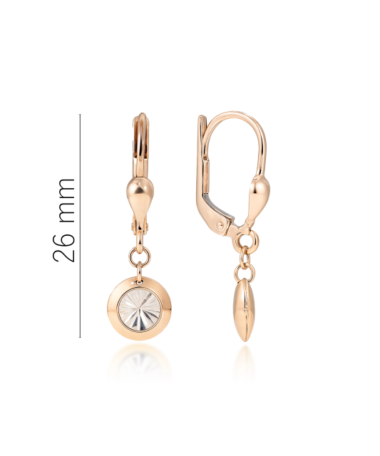 Auksiniai auskarai Goldinga XDCNCWSE206527-WR-II