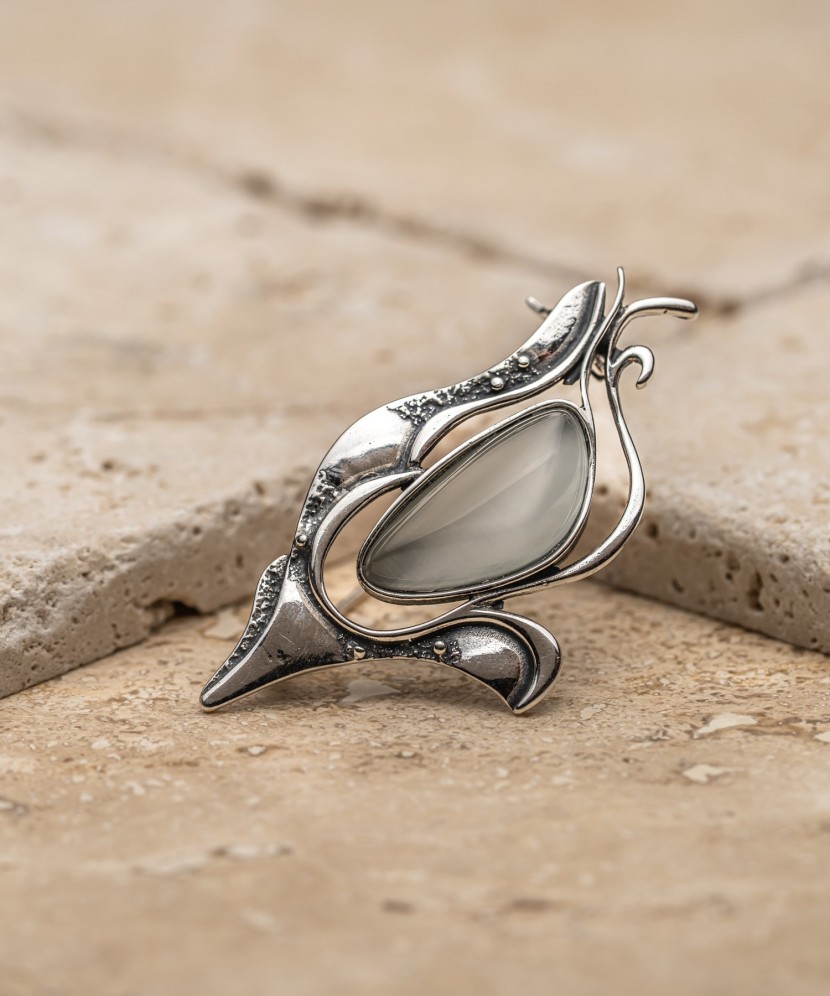 Hõbeprosssu kasss akies akmeniu