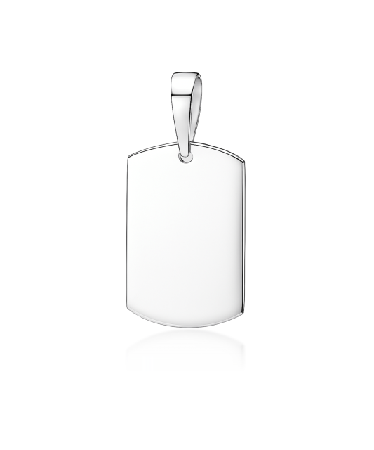 Hõberipats  "Plaat"