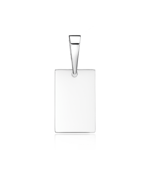 Hõberipats  "Plaat"