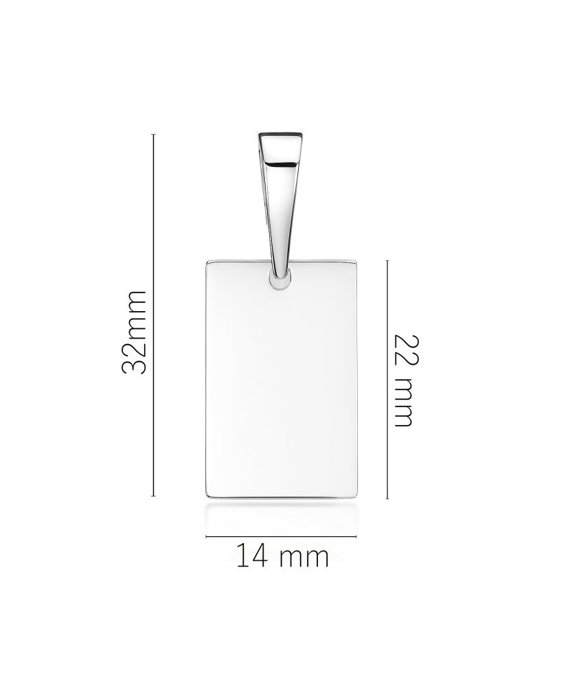 Hõberipats  "Plaat"