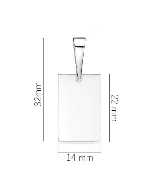 Hõberipats  "Plaat"