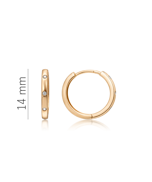 Kuldkõrvarõngad tsirkoonidega